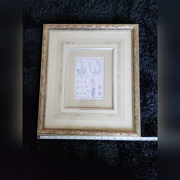 3 vintage Botanical framed prints - Picture 12 of 12